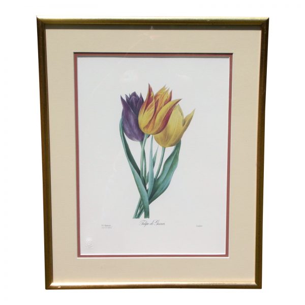 Vintage Framed Limited Edition Redoute Botanical Lithograph Langlois Old Mission Gallery